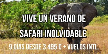 Banner Zimbabwe ENE-26.png Banner Zimbabwe ENE-26.png