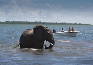 Lago Kariba.jpg