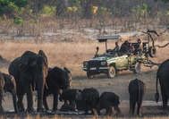 Parque Nacional Hwange actividades