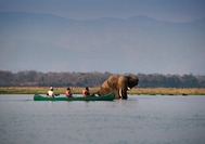 Mana Pools.jpg