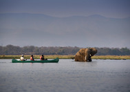 Mana Pools.jpg