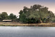 Imagen Parque Nacional Mana Pools | Panormica | Vive Zimbabwe | Elefante