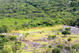 Imagen Ruinas del Gran Zimbabwe | Panormica | Restos arqueolgicos | Vive Zimbabwe