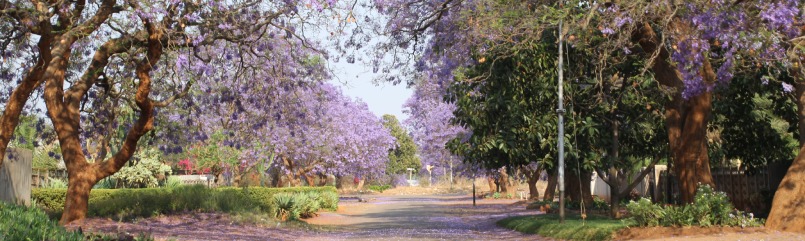 Bulawayo | Panormica | Vive Zimbabwe