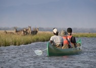 Mana Pools.jpg