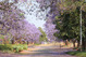 Bulawayo | Panormica | Vive Zimbabwe