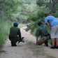 Rhino walk.jpg