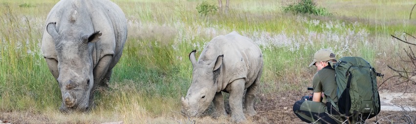 Matopos-Rhino06.jpg
