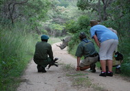 Rhino walk.jpg